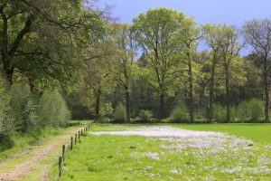 Gezamenlijk aanpak voor herstel biodiversiteit platteland