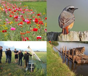 Gezamenlijk oproep over landbouwcrisis van boeren, wetenschappers en Vogelbescherming