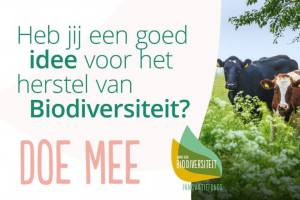 Deltaplan Biodiversiteitsherstel lanceert innovatiefonds voor versterking biodiversiteit