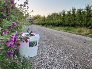 Boeren tellen zelf dag- en nachtvlinders