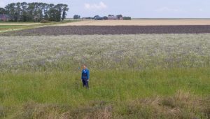 GLB-pilot update: Hoe? Zo! Boeren experimenteren met maatregelen voor meer natuurwaarde