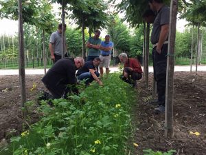 Collectief Rivierenland: Eerste ervaringen uit project Natuurinclusief Betuws Boeren