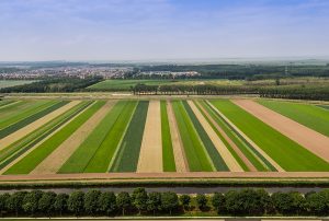 Artikel over kringlooplandbouw