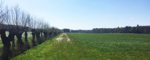 Collectief Utrecht Oost – Onbemeste weideranden