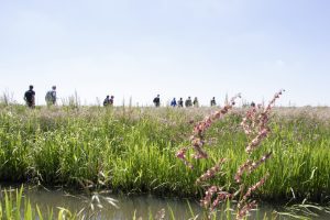 LIFE IP ALL4BIODIVERSITY – update