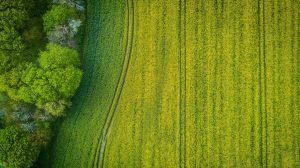 Praat mee over de toekomst van Europa