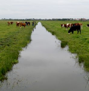 Terugblik kenniskring natte dooradering