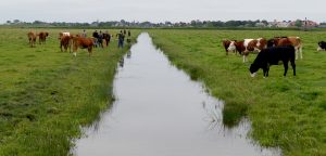 Reactie BoerenNatuur op coalitieakkoord ‘omzien naar elkaar, vooruitkijken naar de toekomst’