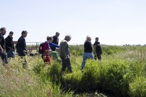 Samenwerking praktijk en onderzoek: “Collectieve aanpak natuurbeheer motiveert boeren voor transitie naar duurzame landbouw”