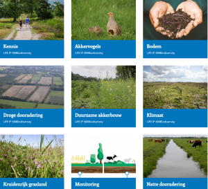 Factsheets online, vrij te gebruiken!
