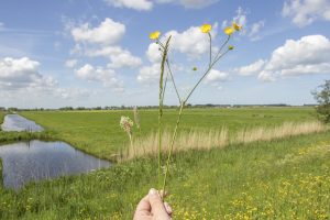 Landbouw KPI’s, waar staan we nu?