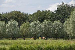Advies Aanvalsplan Landschapselementen aangeboden