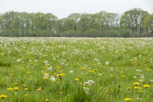 <strong>ANLb 2023: balanceren tussen ambities en onzekerheden</strong> 