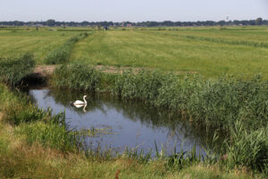 BoerenNatuur schuift aan bij brede landbouwtafel Landbouwakkoord naar overzicht
