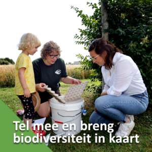 Natuurmaatregelen door boeren goed voor de vlinders
