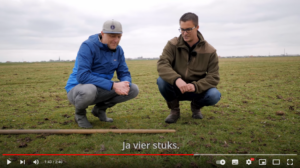 Weidevogelseizoen start bijna – bekijk de video serie van Súdwestkust