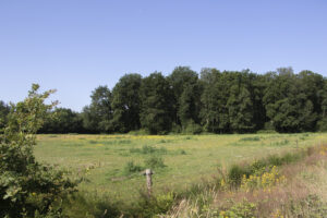 BoerenNatuur Kennisuur – Ecologie en beheer van droge dooradering op 13 februari