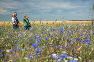 Biodiversiteit in agrarische landschappen vraagt om flexibele randvoorwaarden