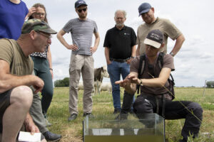Vacature bij BoerenNatuur: junior adviseur natuurinclusieve landbouw