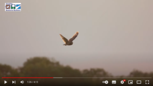 Film in de maak over agrarisch natuur- en landschapsbeheer