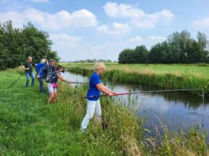Ecologisch slootbeheer: hoe pak je dat aan en wat levert het op?