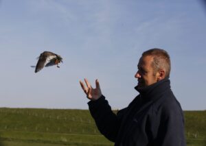 BoerenNatuur Kennisuur – Tureluurs: Je wordt het er niet van…, maar wel wijzer!