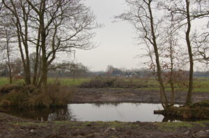 BoerenNatuur organiseert i.s.m. Netwerk Platteland een werkplaats op 30 mei
