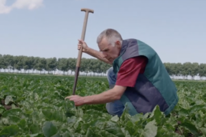 Nieuwe video Bodem in Beeld: akkerbouwer Gert-Jan over organische stofbeheer