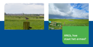 ANLb, Hoe staat het er mee?