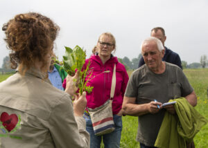 ‘Kruidenrijk grasland en weidevogels, hoe beheer toe te passen’