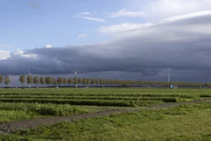 5 juni: BoerenNatuur Kennisuur – Gebiedsprocessen