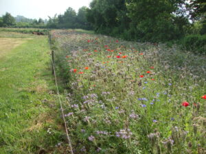 BoerenNatuur Brabant Oost organiseert bijeenkomsten voor erfbetreders