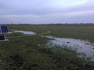 Weidehof Krimpenerwaard krijgt €75.000 extra voor Agrarisch Natuur- en Landschapsbeheer (ANLb)