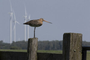 Collectieven aan de slag met lessen Ecologisch Evaluatie
