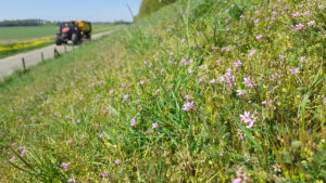 11 juni – BoerenNatuur Kennisuur – Rijke Dijken – binnendijken als leefgebied