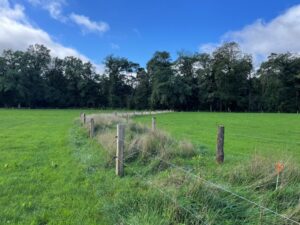 21 mei BoerenNatuur Kennisuur: De biodiversiteits-waarde van de weidepaal