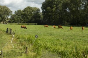 Internetconsultatie initiatiefwet Grondgebondenheid