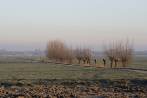 Kennisdag droge dooradering
