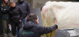 Nieuw: lesmodules Inzicht in de melkveehouderij