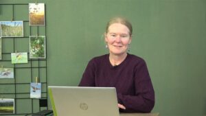 Terugkijken: BoerenNatuur Kennisuur – Kievitkuikens op bouwland