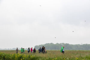 10 jaar ANLb: hoe het begon