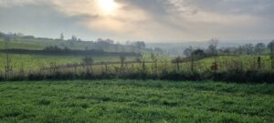 4 nov. BoerenNatuur Kennisuur – Houtige dooradering in het ANLb