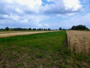 BoerenNatuur Kennisuur – Mest & Ecosysteem