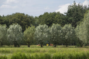 Boeren willen het liefst een ANLb-contract voor 12 jaar 