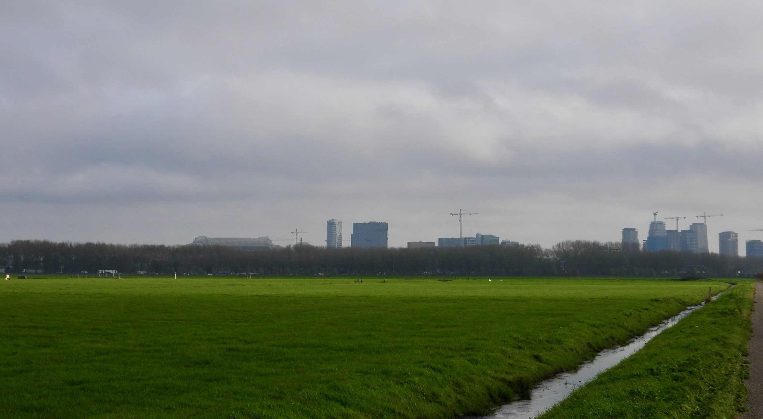 Duivendrechterpolder met de Amsterdam Arena in de verte. Foto: Pieter Verbeek.