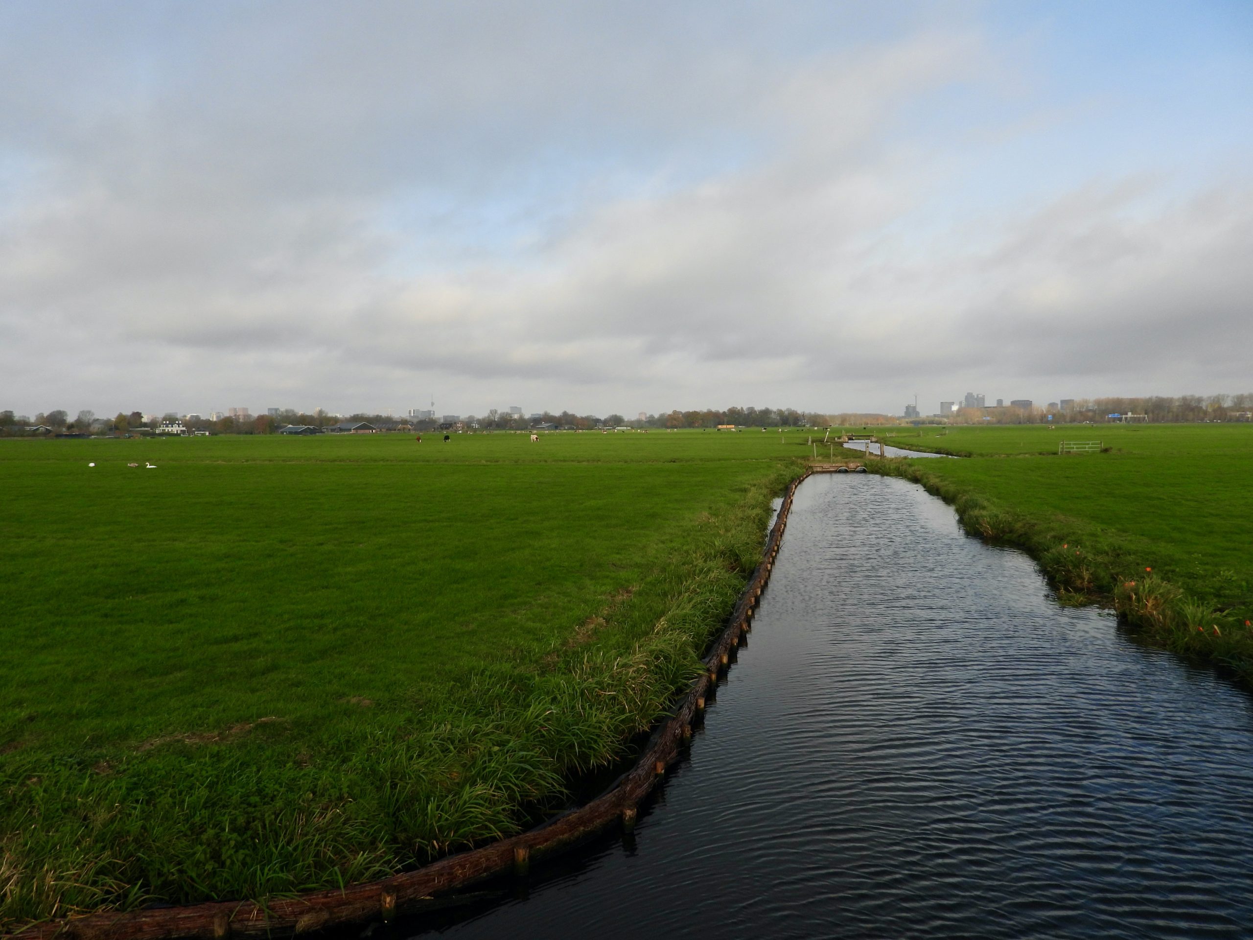 Duivendrechter polder. Foto: Pieter Verbeek.