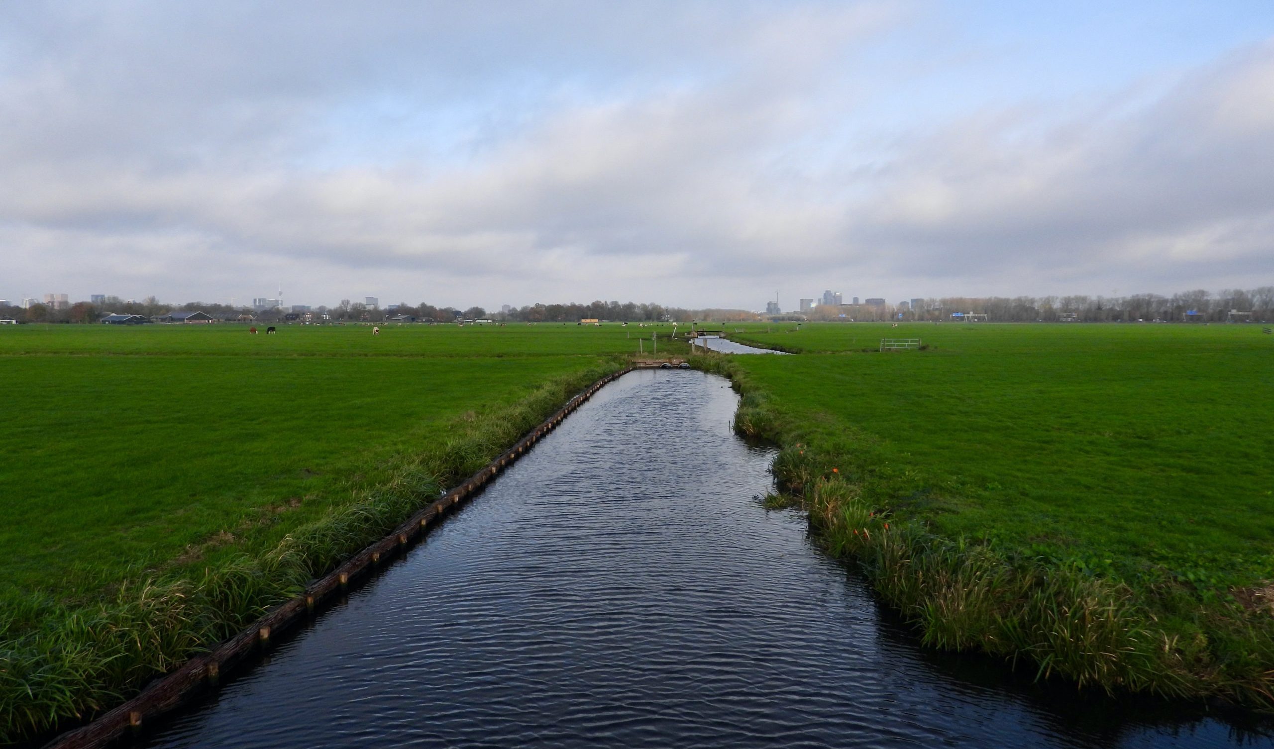 Duivendrechterpolder met op de achtergrond Amsterdam. Foto: Pieter Verbeek.
